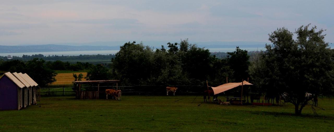 Dharma Horse Shelter Bungalows & Farmping ชิโอฟก ภายนอก รูปภาพ