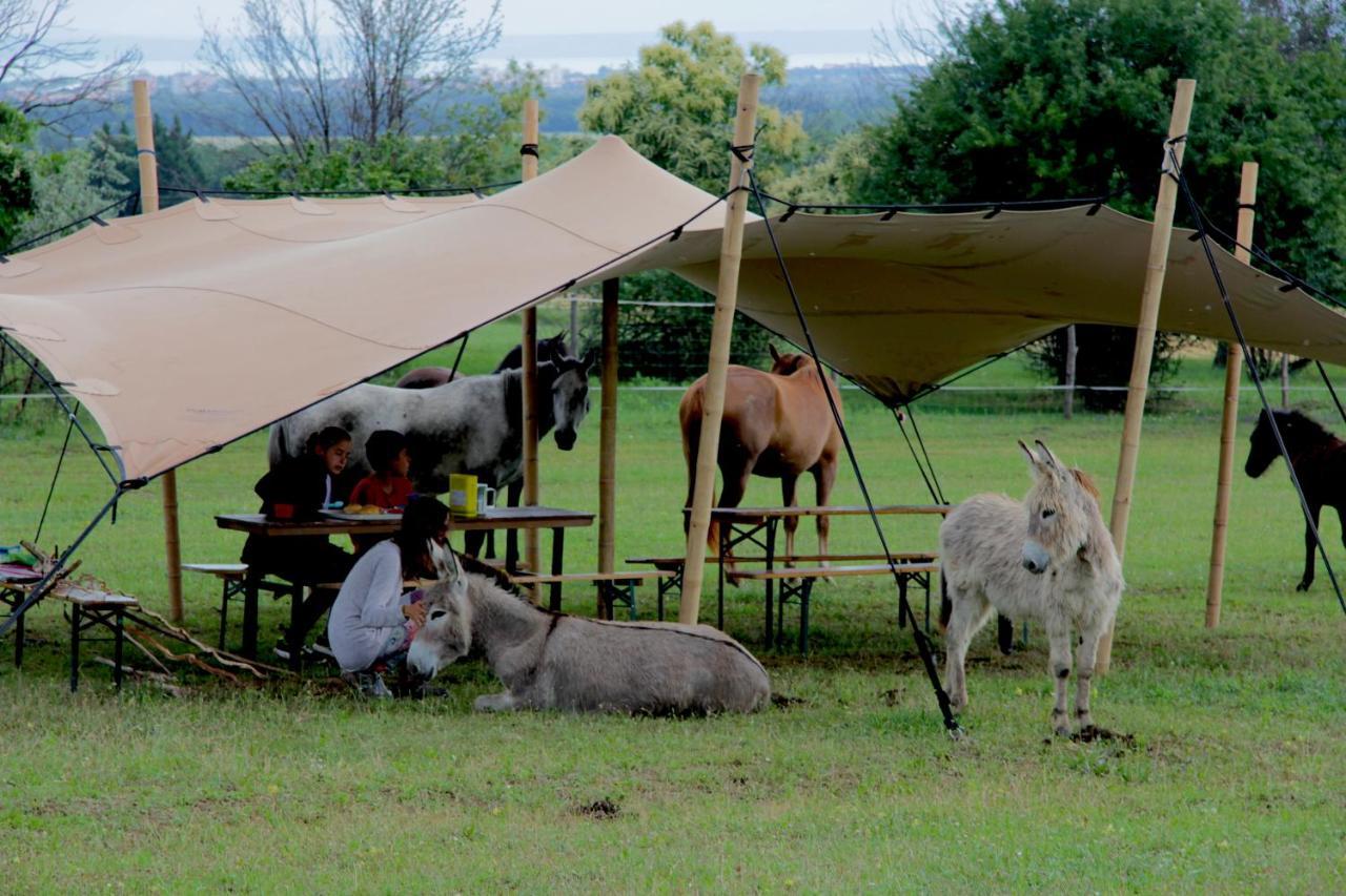Dharma Horse Shelter Bungalows & Farmping ชิโอฟก ภายนอก รูปภาพ