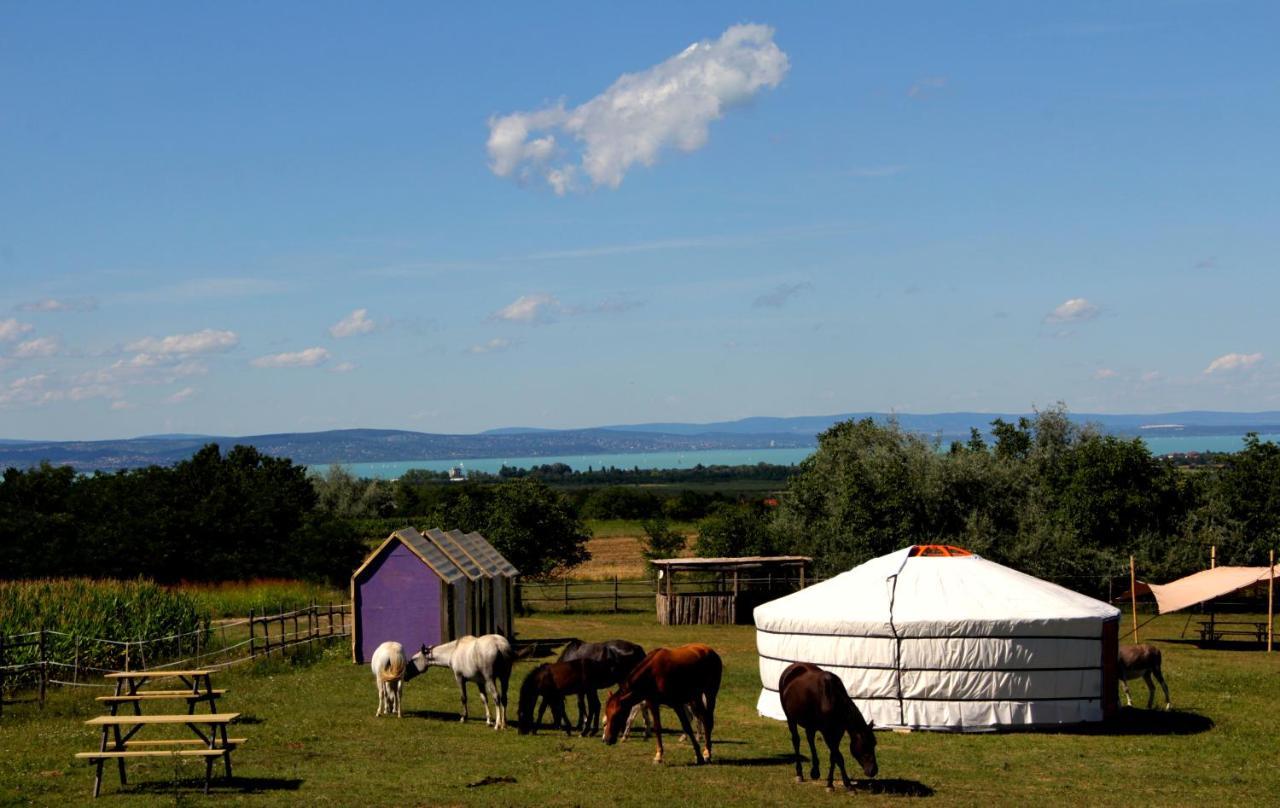 Dharma Horse Shelter Bungalows & Farmping ชิโอฟก ภายนอก รูปภาพ