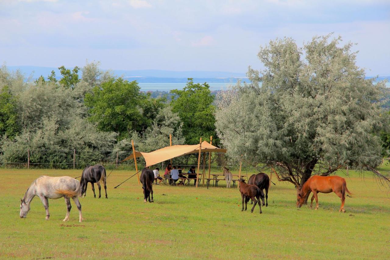 Dharma Horse Shelter Bungalows & Farmping ชิโอฟก ภายนอก รูปภาพ