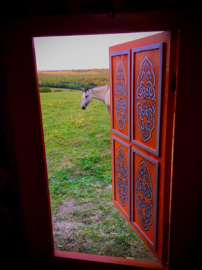 Dharma Horse Shelter Bungalows & Farmping ชิโอฟก ภายนอก รูปภาพ